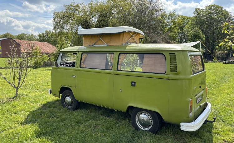 The Hulk – Westfalia – Magnifique camping-car classique à louer ! 