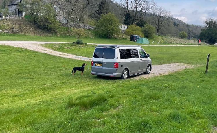 Ivy – Camping-car VW acceptant les animaux de compagnie - MK13 Milton Keynes