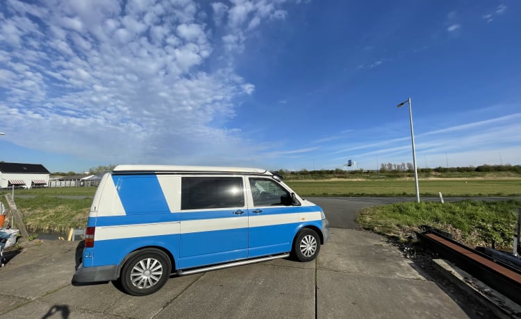 Blastoise – Volkswagen T5 camperbus 