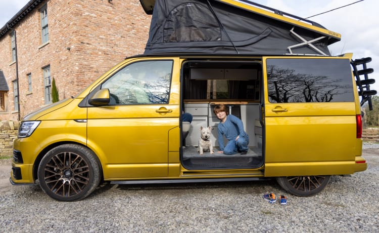 Goldbug – 4-persoons Volkswagen campervan uit 2019