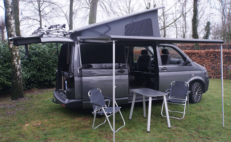 Transporteur Volkswagen T5