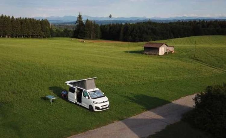 Der Campster – great bus with 4 beds or 5 seats - everything you need ;-)!