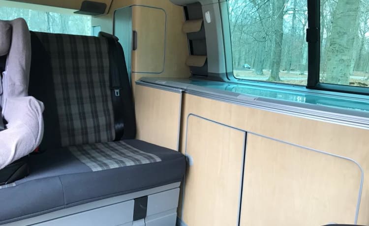 California 4motion – Beautiful T5 for rent for trips within the Netherlands