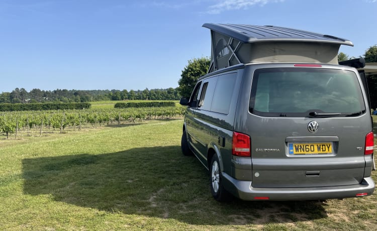 Phoebe – 2010 VW California 4 posti letto Camper