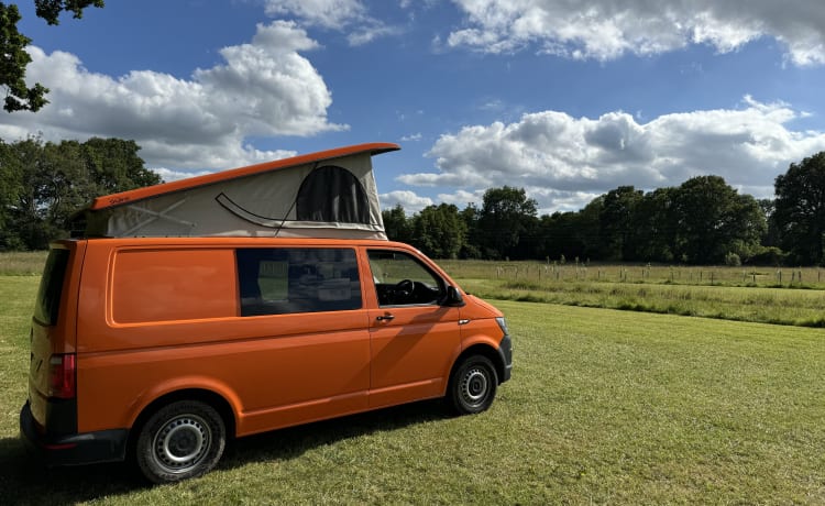 Van Tropez – New Conversion! Automatic VW Transporter w/5 seats