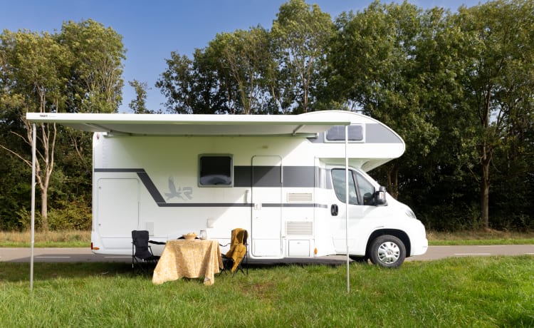 Fiat camper – Camping-car Fiat avec alcôve