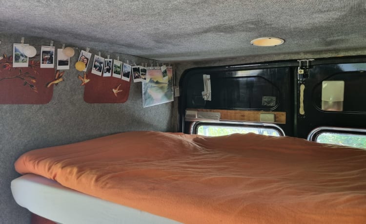 3p Ford campervan from 2002