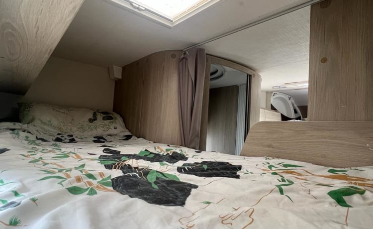 Herbie – Comfortable 4/5/6 berth Chausson Flash motorhome with all of the comforts