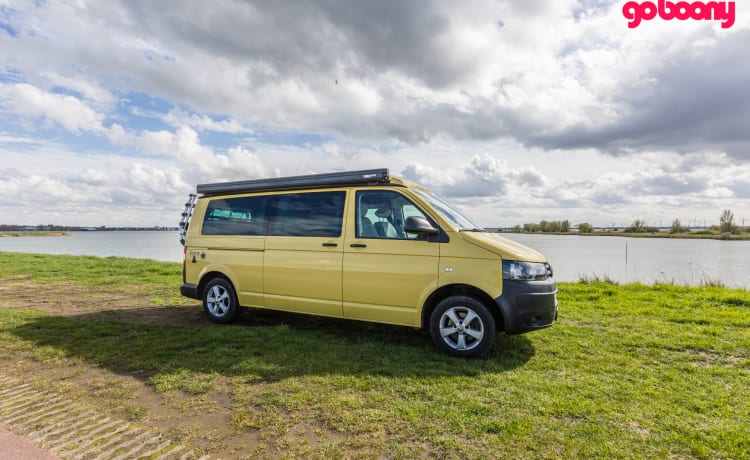 Sunny – 2er Volkswagen Bus von 2015