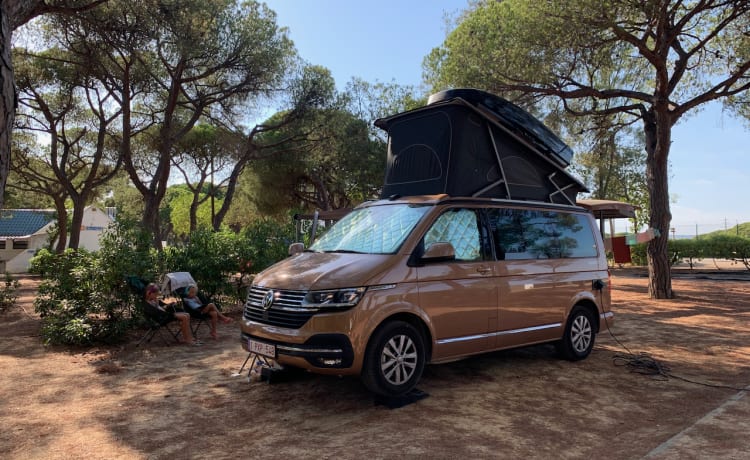 Volkswagen California T6.1 Ocean