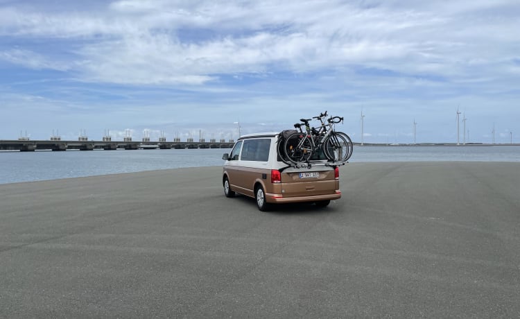 BATmobiel :) – VW California T6.1 met standverwarming