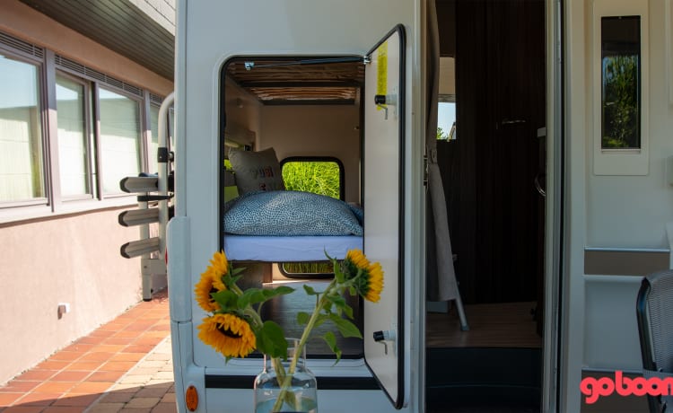 The Arc – All inn family camper