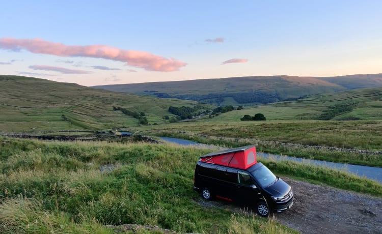 Beauty – 2019 VW T6 Campervan 4 berth