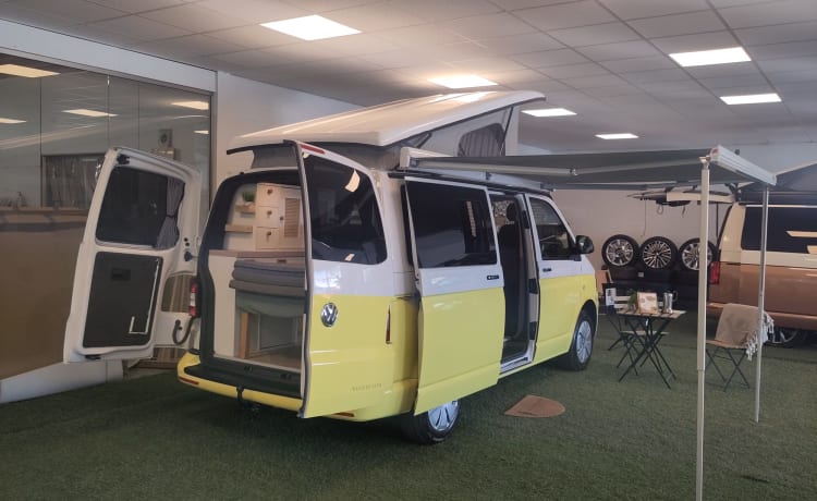 Summer yellow – 4 person campervan with cozy new Woodpecker installation