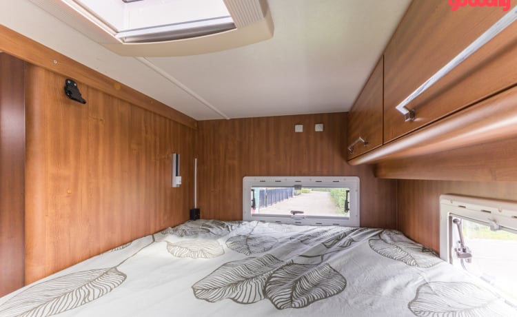 Schöner halbintegrierter Fiat-Camper für 5 Pence