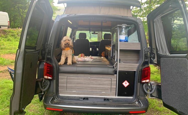Bonnie 🏴󠁧󠁢󠁳󠁣󠁴󠁿 – Het avontuur wacht! 😎🏔️ VW T6.1 - Huisdieren welkom 🐶 