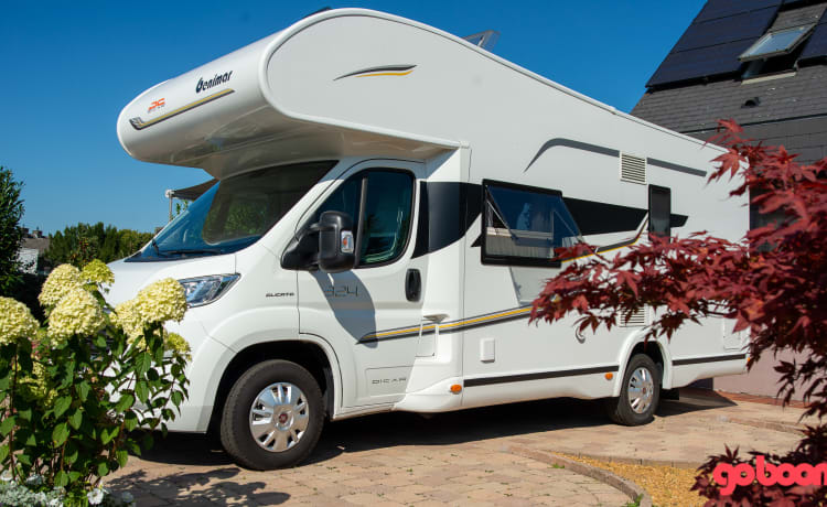 The Arc – All inn family camper