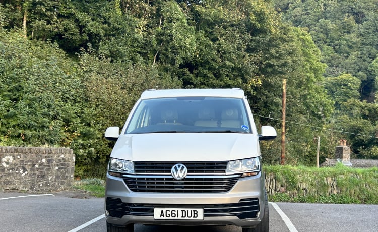 Aggi – Kies mij, kies mij!! 2021 (VW T6.1) met nieuwe prof-conversie - Devon. 