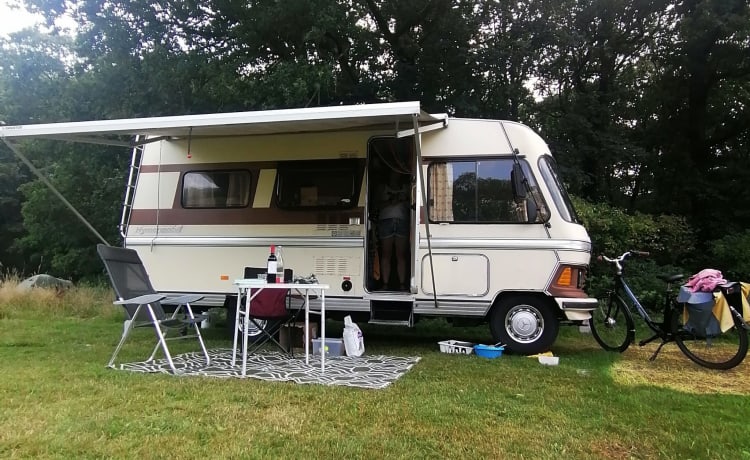 Hymie – Super Retro Camper! - high last-minute discount