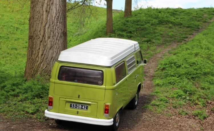 Westfalia – Beau camping-car classique à louer! Louer un ancien VW Van - T2 Westfalia