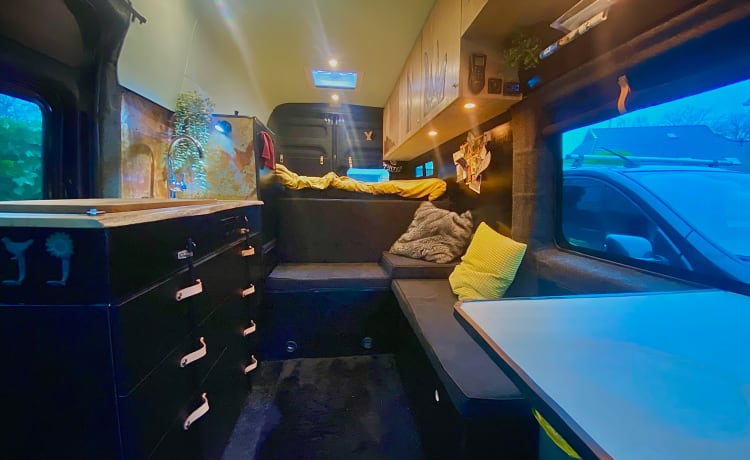 Atmospheric king-size bus camper for adventurous people