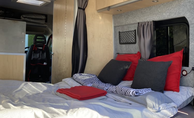 Camper Citroën "contour" 2 posti letto