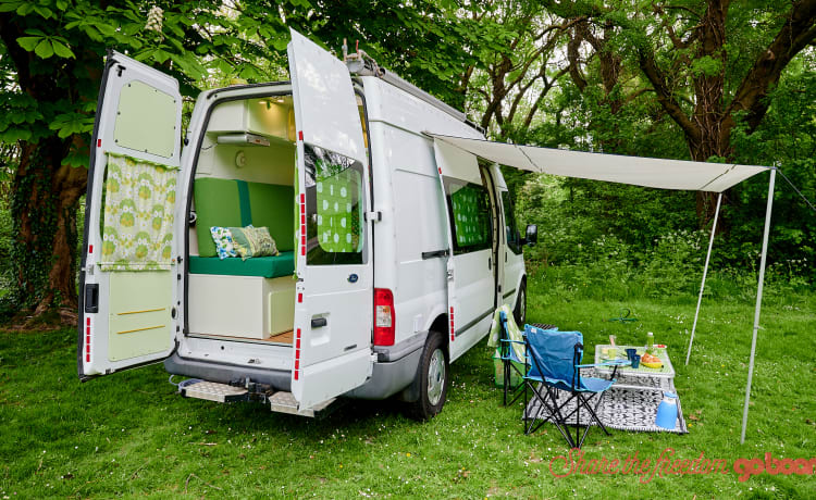 De Groenling – Camper bus ben guidabile per 2 pers. con bei mobili in affitto