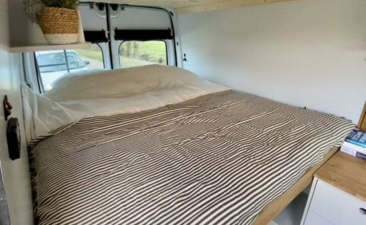 Renault Master selbstgebauter netzunabhängiger Camper Van