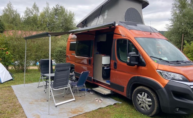  Pössl 2 Win Plus camperbus 2018 met hefdak