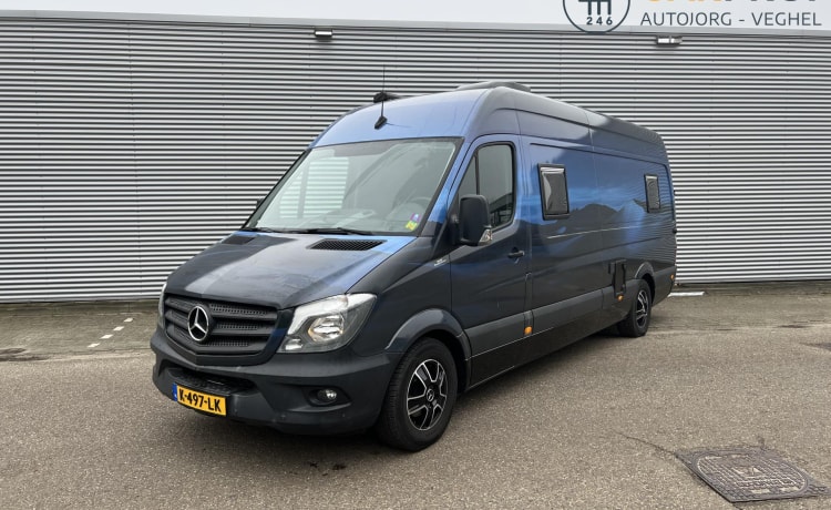 Mercedes-Benz bus uit 2018