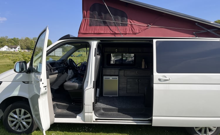 Bob  – Mooie 4-persoons Volkswagen camper uit 2016