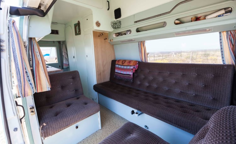 Ms. Paddy – Camper vintage Mercedes Westfalia 🚌 🏄‍♂️ ⛱ con attrezzatura completa