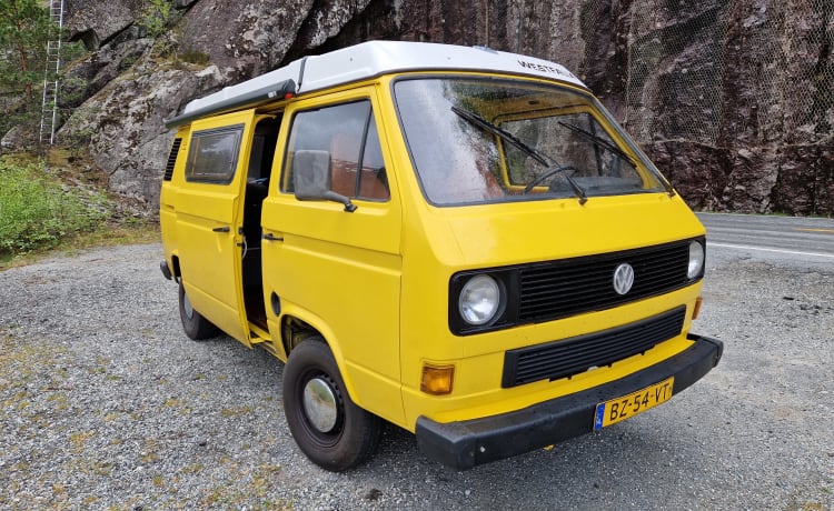 Unico Volkswagen T3 del 1988 con cui partire per un'avventura