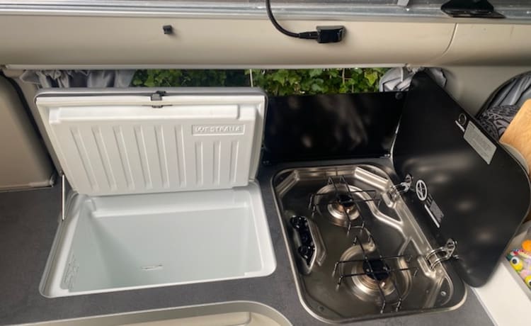 Unique Ford Nugget Plus from 2021 with fixed toilet 