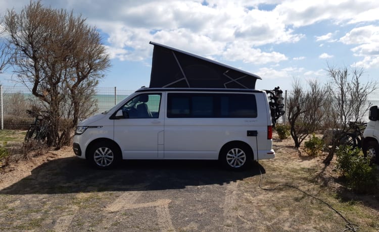 Bulli - Volkswagen California T6.1 Ocean