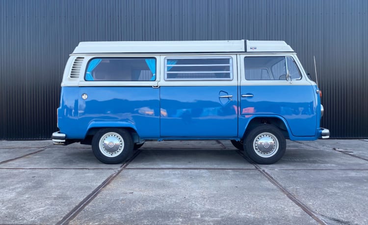 Bus Colorado – Volkswagen T2b, 1975