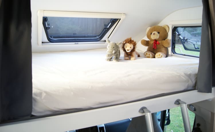 FreeLiving – AUTOMATIC with level system, extra long beds. ALSO WINTER