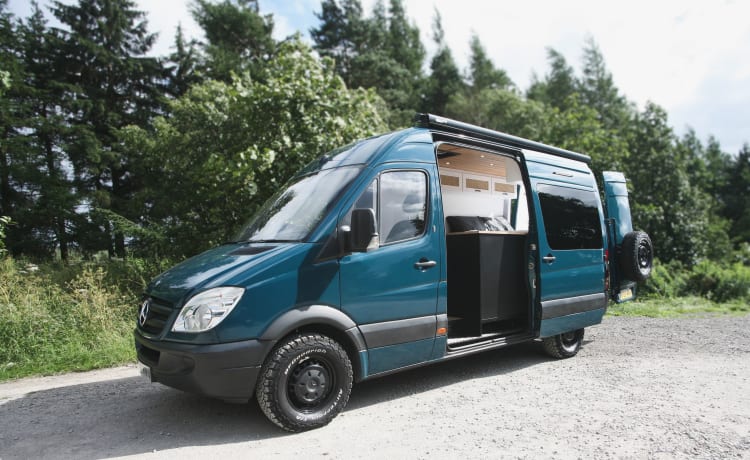 Ian Teal  – Festivalbereiter Campervan mit 2 Schlafplätzen!