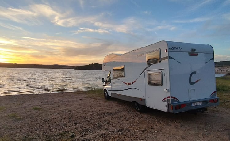 Very spacious family motorhome, 6 seats with belts