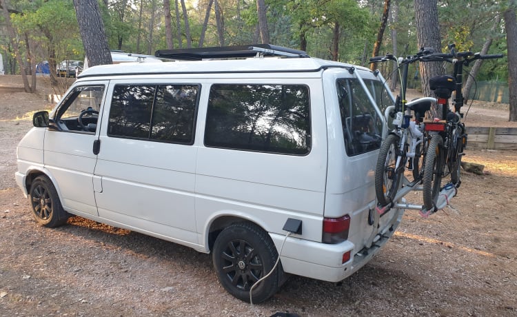 Rino il campeRino – Volkswagen T4 westfalia california 