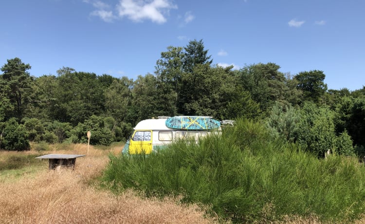 Madame Estafette – Geniet van het langzame leven met onze oldtimer Madame Estafette 