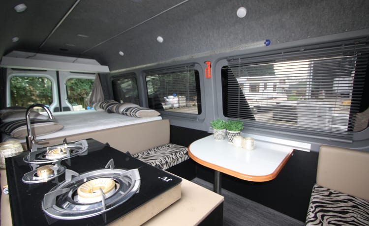 Superruime luxe MB Sprinter buscamper 2010 met XXL vastbed (2p)