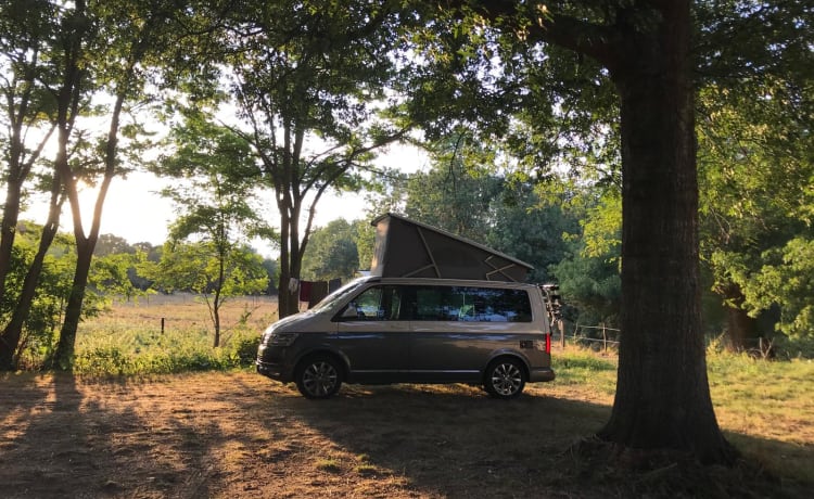 4p Volkswagen campervan uit 2019