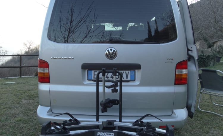 WOLLY – VOLKSWAGEN T5 CALIFORNIË WESTFALIA