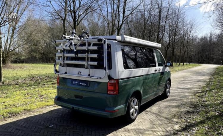 Trendiger 4-Personen-Volkswagen T6 (Umbau im Jahr 2022)