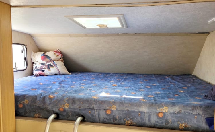 Freddy – "Camper Mansardato Fiat Ducato : Classico Vintage Familiare"