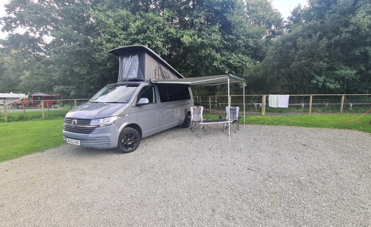 reggie – VW transporter t6.1