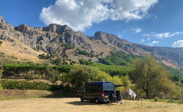 Atmospheric king-size bus camper for adventurous people