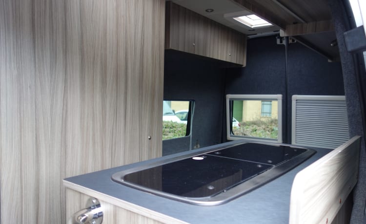 Ford Transit – Camper 2 posti letto con doccia, cucina, servizi igienici e TV