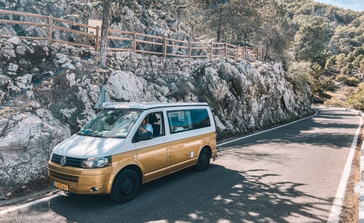 Billie – der Volkswagen T5 Camper für 2 Erwachsene und 2 Kinder 